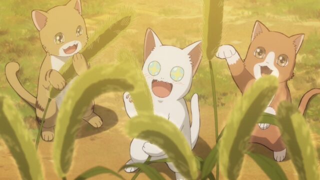 『猫と竜』第6話「猫じゃらしの夜」感想｜変わり者一匹が制度になった