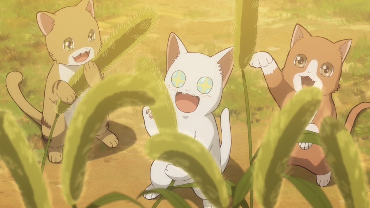 『猫と竜』 第6話 猫じゃらし畑の継承と夜会の始まり